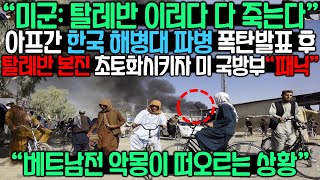 quot미군 탈레반 이러다 다 죽는다quot 아프간 한국 해병대 파병 폭탄발표 후 탈레반 본진 초토화시키자 미 국방부quot패닉quot 베트남전 악몽이 떠오르는 상황 [upl. by Quennie]