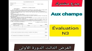 tronc commun جدع مشترك علوم وآداب évaluation N3 aux champs الفرض التاني الدورة الأولى [upl. by Nalyt783]