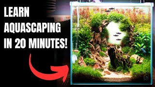 2024 Complete Aquascaping Beginners Guide  Learn ALL The Basics [upl. by Darren]