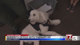 Wake County Sheriffs Office gets new therapy dog [upl. by Bowra]