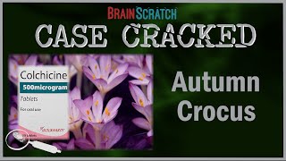 Case Cracked Autumn Crocus [upl. by Anderegg265]