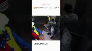 ضحك dz اكسبلور algeria funny algerie ترند algerien memes جزاءر الجزائر [upl. by Setiram626]