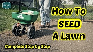 How To Seed a Lawn  Complete Step By Step Guide [upl. by Merridie]