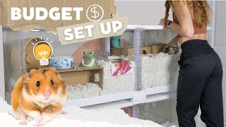 How to Set up a Hamster Cage on a BUDGET 💸 [upl. by Nemzaj]