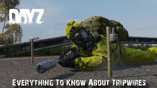 Everything You Need To Know About Tripwires In DayZ 114 [upl. by Halford]