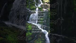 1 Hour Forest Waterfall Sounds  Discover Serene Forest Waterfall Sounds for 1 Hour of Relaxation [upl. by Ait]