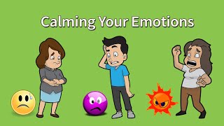 DBT Skills Emotion Regulation and Calming Your Emotions [upl. by Edahc]