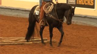 AQHA Ranch Pleasure Class [upl. by Llerrot6]