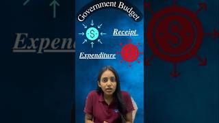 Components of Government Budget  Easiest Explanation by Anshita Mam  shorts [upl. by Chang695]