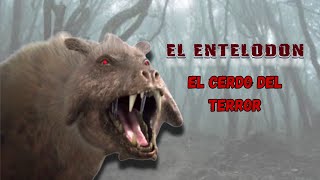 💎 El ENTELODON  El cerdo prehistórico del TERROR 🌎 [upl. by Cimah]