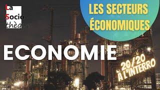 Les secteurs dactivité économiques  primaire secondaire et tertiaire [upl. by Olli561]