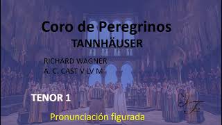 TENOR 1  TANNHÄUSER Coro de peregrinos [upl. by Ahtimat10]