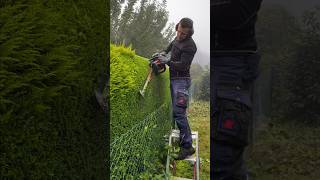 How Effortless Man Cutting Grass Clever Trick shorts [upl. by Ybsorc901]