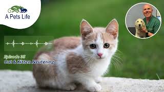 A Pets Life Podcast  Episode 35  Cat amp Kitten Neutering [upl. by Gerry]