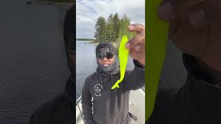 PIKE FISHING  mengunakan soft plastic strike bro fishing [upl. by Faux]