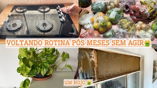 DIAS SEM CAPRICHAR NA MINHA CASA🤮VOLTANDO A ROTINA  COMPRAS DE HORTIFRUTI E LIMPEZA DA GELADEIRA 🍃 [upl. by Lletnwahs]