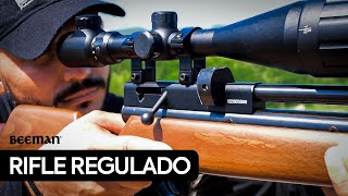 PROBANDO Rifle Beeman Chief 2 Plus 22 PCP Regulado [upl. by Bourn]