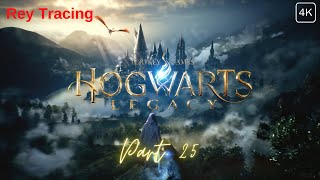 Hogwarts Legacy Part 25  Shiny Hunt for Thestrals [upl. by Maurizio]