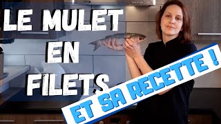 Comment faire des filets de Mulet Noir  avec Recette  avec quotOh Matelotquot [upl. by Daren]