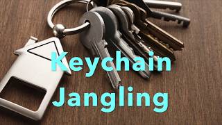 Keychain Jangling Sound Effect [upl. by Nesnaj]