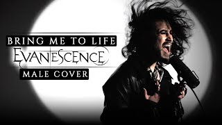 Bring Me To Life  Evanescence  Cover by Caleb Hyles feat RichaadEb [upl. by Ingamar]