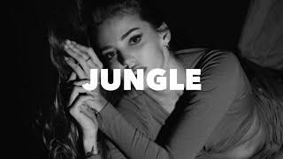 Alok The Chainsmokers amp Mae Stephens  Jungle Hiago Lopez Remix [upl. by Koblick]