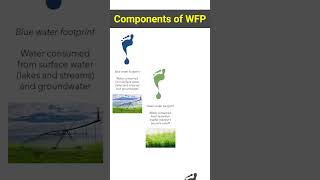 Water footprint 👣water footprint water [upl. by Joung119]