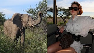 VLOG 77 Op safari naar Namibië 🐘🦒🤎 [upl. by Modesty122]