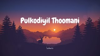 Pulkodiyil Thoomani  Take Off  Lyrics video  Luvbeatz [upl. by Selokcin]