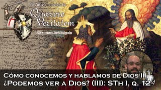 ¿Podemos ver a Dios III STh I q 12  Quaerere Veritatem 52 [upl. by Atiuqat505]