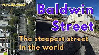 Baldwin Street Exploring the steepest street in the world Dunedin New Zealand [upl. by Market]