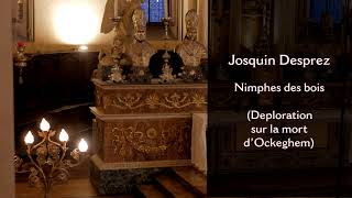 Kotter  Josquin Desprez  Noema Ensemble  A Corti organo W Testolin direttore [upl. by Trinette]