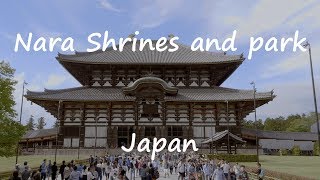 Shrines and park in Nara Japan [upl. by Norval]