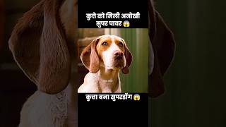 कुत्ते को मिली अनोखी सुपर पावर 😱  short dog movie shorts [upl. by Aleak786]