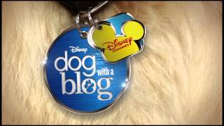 BRAND NEW SHOW Dog with a Blog Coming to Disney Channel [upl. by Agretha]