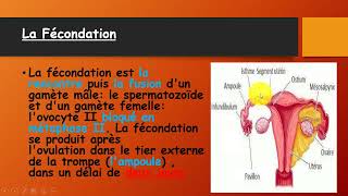 BAC Tunisie  La procreation  درس مهم جدا للتمكن من علوم الحياة و الأرض [upl. by Akihsar]