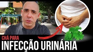 O QUE USAR PARA INFECÇÃO URINÁRIA  Dr Dayan Siebra [upl. by Arehahs]