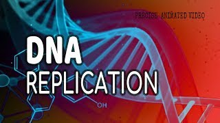 DNA Replication  Helicase  leading strand  Lagging strand  Okazaki fragments [upl. by Aissyla221]