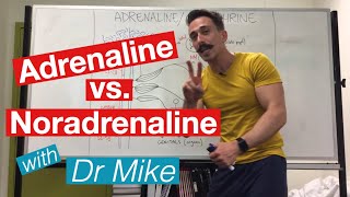 Adrenaline versus Noradrenaline  epinephrine versus Norepinephrine [upl. by Peacock649]