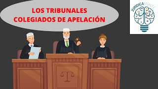 LOS TRIBUNALES COLEGIADOS DE APELACIÓN [upl. by Marney]