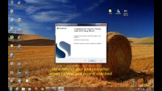 how to install steganos 2012 full [upl. by Briney]