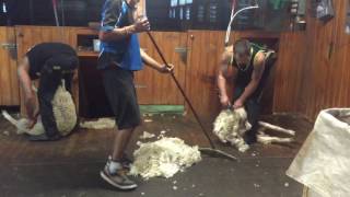 shearing lambs at mount Bourke central otago [upl. by Lenox265]