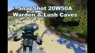 Minecraft Snapshot 20W50A No SnapShot This Week [upl. by Bor]