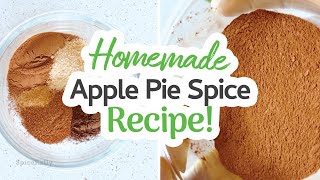 Apple Pie Spice Mix Recipe  SpiceRally [upl. by Aehcsrop]