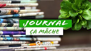 🌱 La méthode Infaillible pour faire germer vos graines de mâche [upl. by Maillw875]