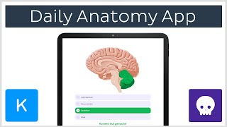 Kostenlose Anatomie Lernkarten App Daily Anatomy  Kenhub [upl. by Dahcir]