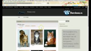 Drupal 7  Media Gallery [upl. by Carlye]