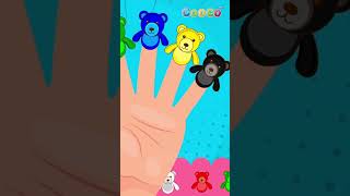 Colour Finger Family Teddy  Cooco TV  Nursery Rhymes 6 [upl. by Aliuqat878]