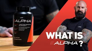 What is Alpha JYM Testosterone Support by Dr Jim Stoppani [upl. by Pammi]