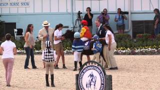 Shetland Ponies Exhibition at the DevonHS [upl. by Torres]